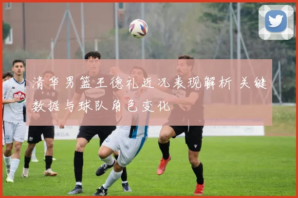 清华男篮王德礼近况表现解析 关键数据与球队角色变化