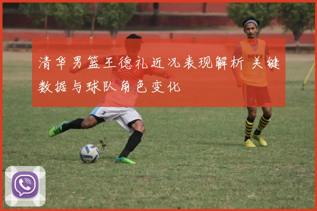 清华男篮王德礼近况表现解析 关键数据与球队角色变化