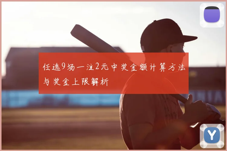 任选9场一注2元中奖金额计算方法与奖金上限解析