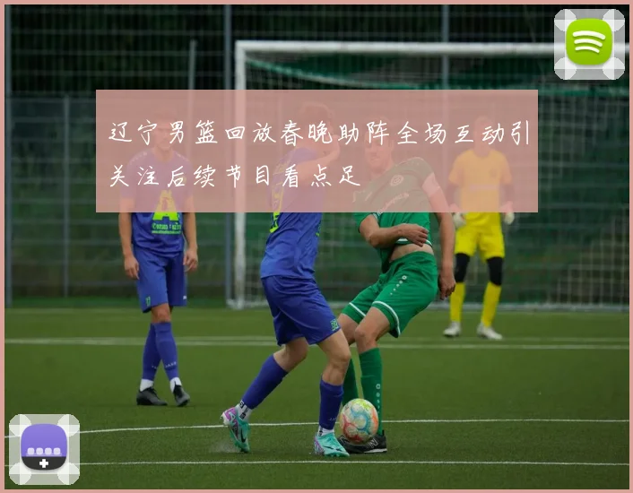 辽宁男篮回放春晚助阵全场互动引关注后续节目看点足