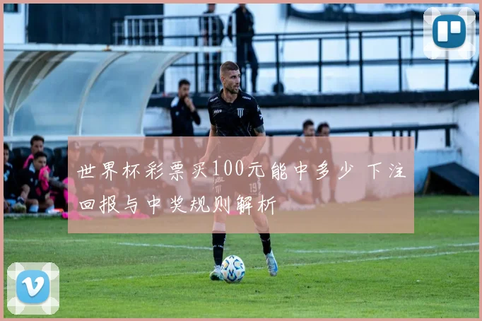 世界杯彩票买100元能中多少 下注回报与中奖规则解析