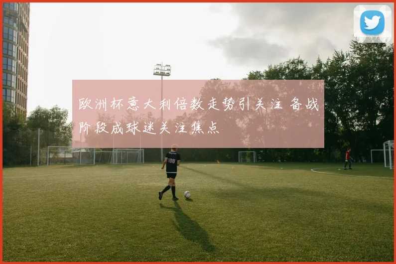 欧洲杯意大利倍数走势引关注 备战阶段成球迷关注焦点