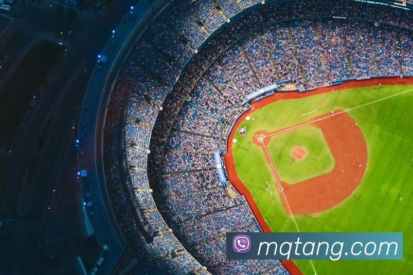 半岛官网登陆入口全站App